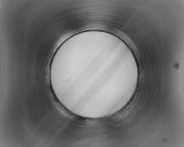 X0000100341242200807031251