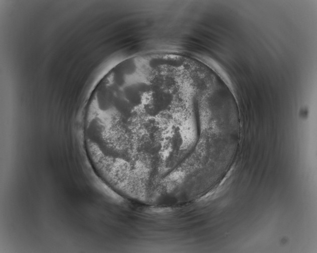 X0000100341243200807031251