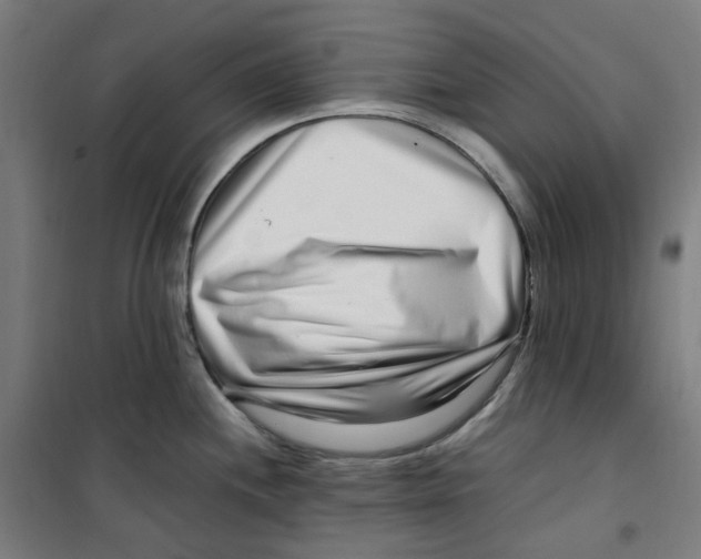 X0000100341244200807031251