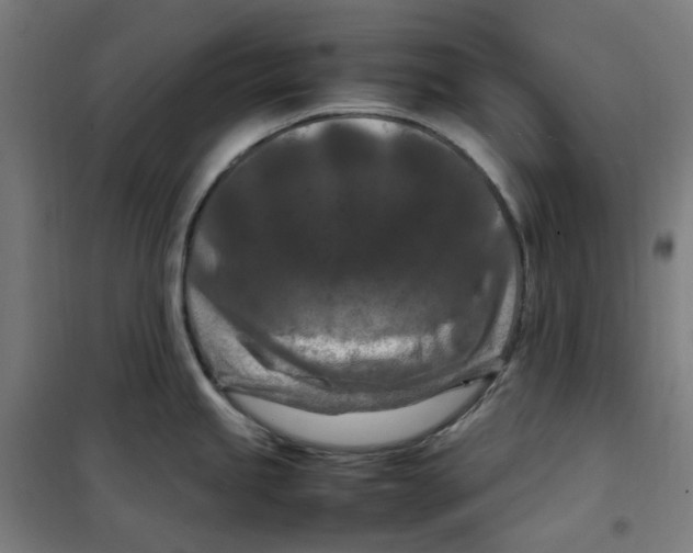 X0000100341245200807031251