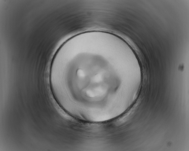 X0000100341246200807031251