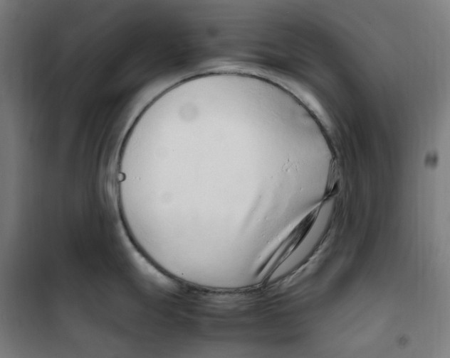 X0000100341247200807031251