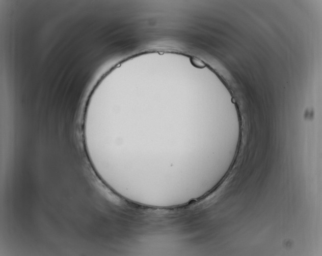 X0000100341248200807031251