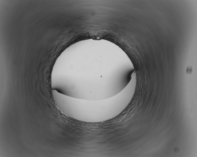 X0000100341249200807031250