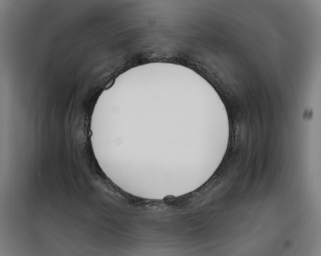 X0000100341250200807031250