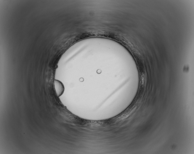 X0000100341251200807031250