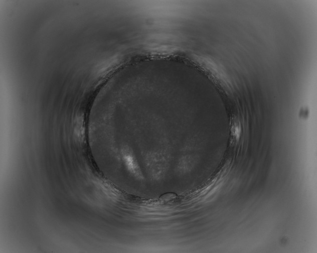 X0000100341252200807031250