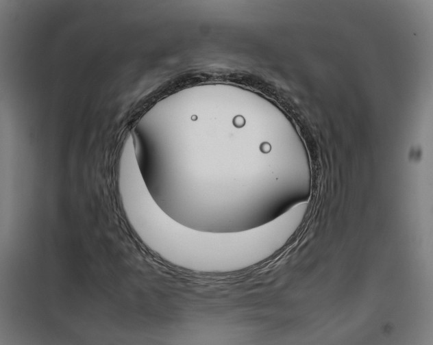 X0000100341253200807031250