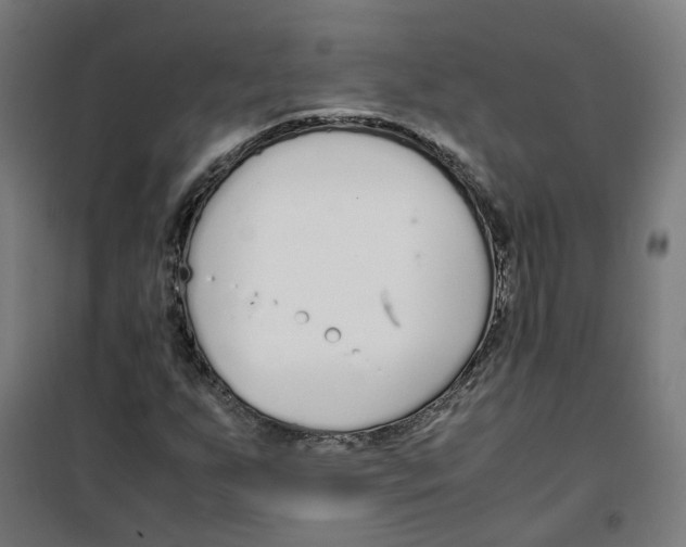 X0000100341255200807031250