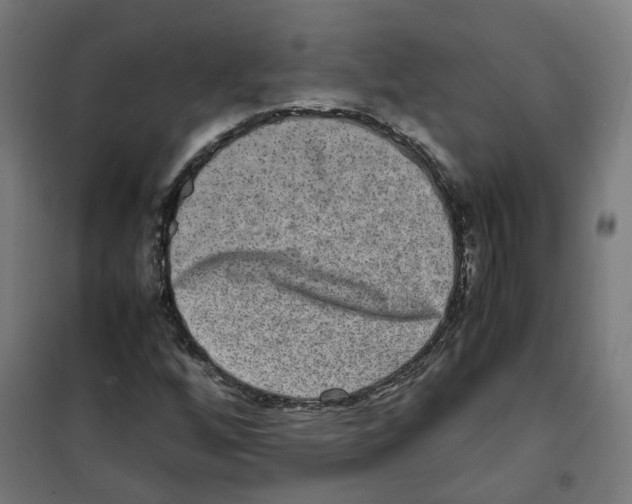 X0000100341256200807031250