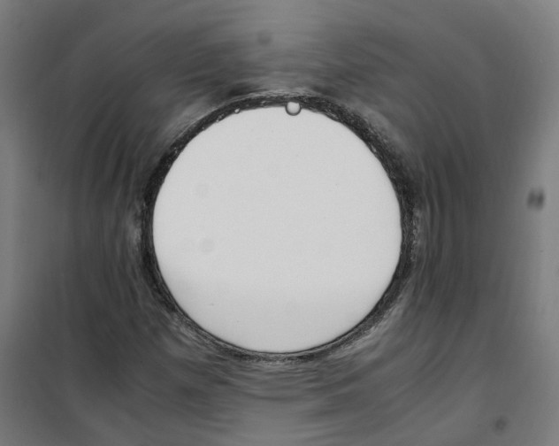 X0000100341257200807031250