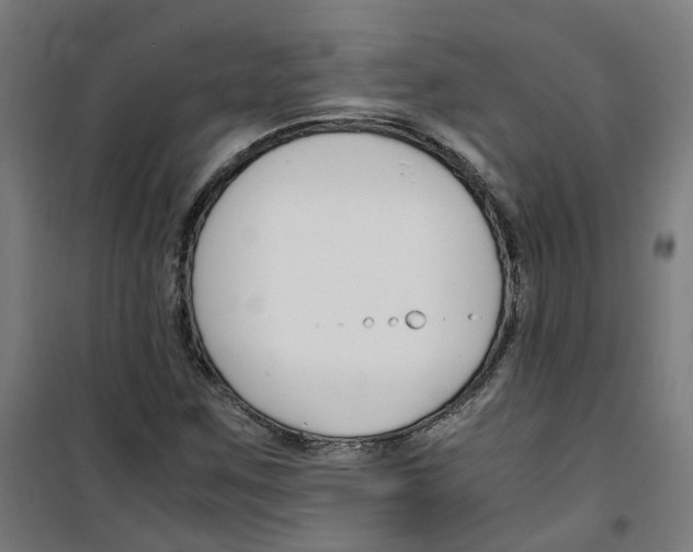 X0000100341259200807031250