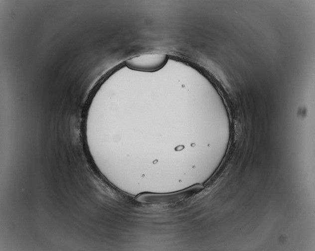 X0000100341260200807031250