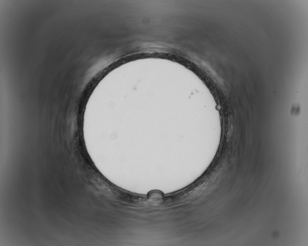 X0000100341261200807031250