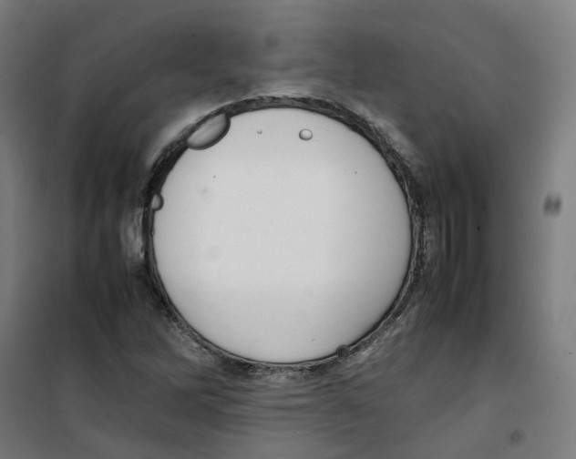 X0000100341262200807031250