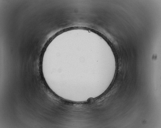 X0000100341264200807031250