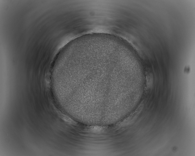 X0000100341266200807031250