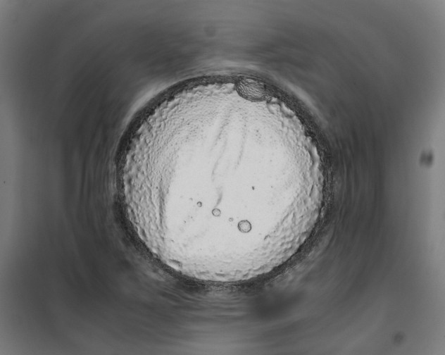 X0000100341267200807031250