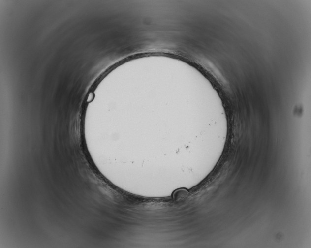 X0000100341268200807031250