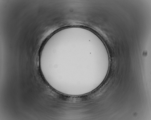 X0000100341269200807031250