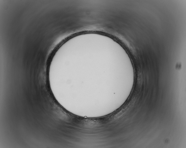 X0000100341270200807031250