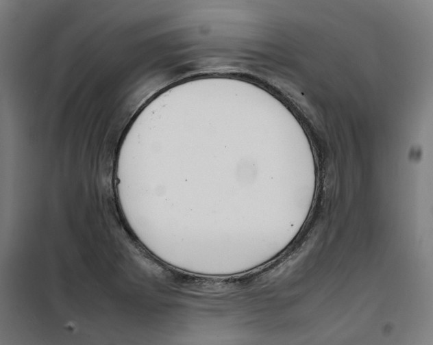 X0000100341273200807031250