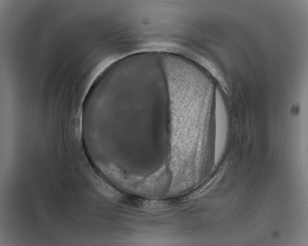 X0000100341275200807031250