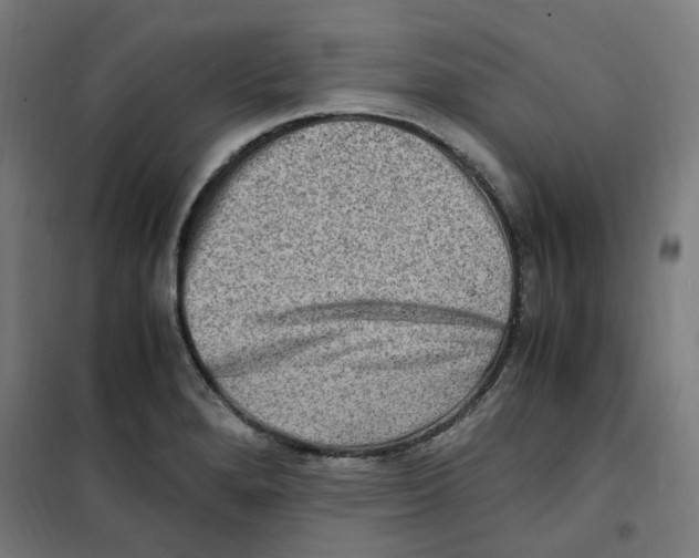 X0000100341280200807031250