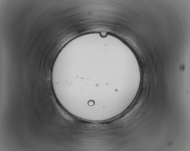 X0000100341281200807031250