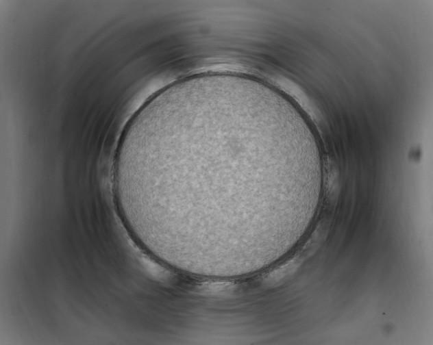 X0000100341282200807031250