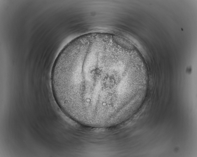 X0000100341283200807031250