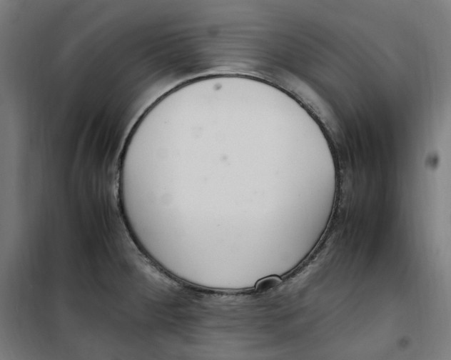 X0000100341284200807031250