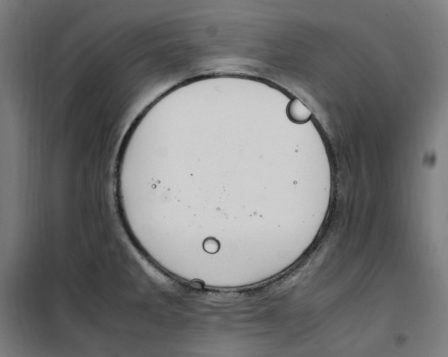 X0000100341285200807031250