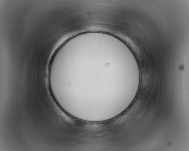 X0000100341286200807031250