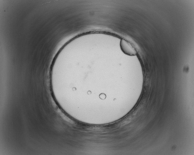 X0000100341287200807031250