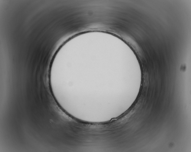 X0000100341288200807031250