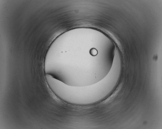 X0000100341289200807031250