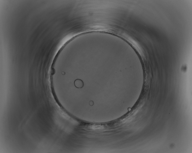 X0000100341291200807031250