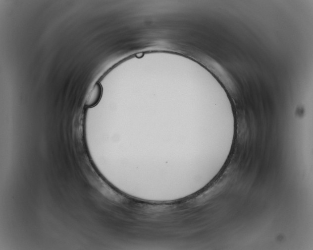 X0000100341292200807031250