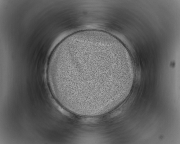 X0000100341294200807031250