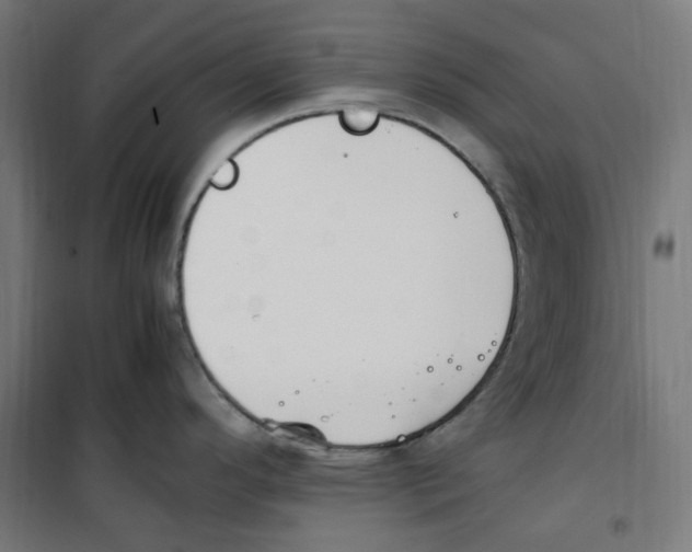 X0000100341296200807031250