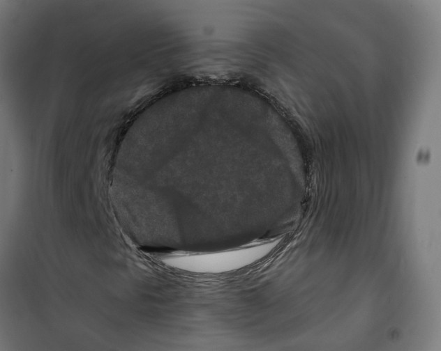 X0000100341297200807031249