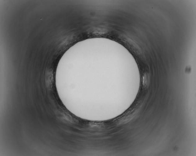 X0000100341299200807031249