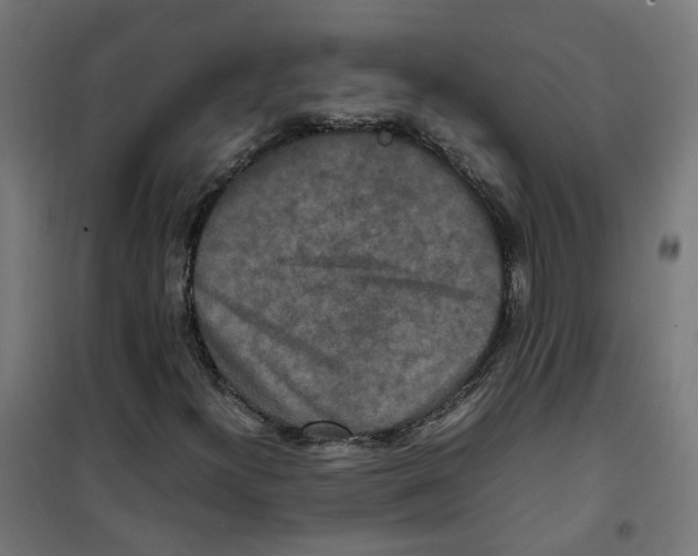 X0000100341300200807031249