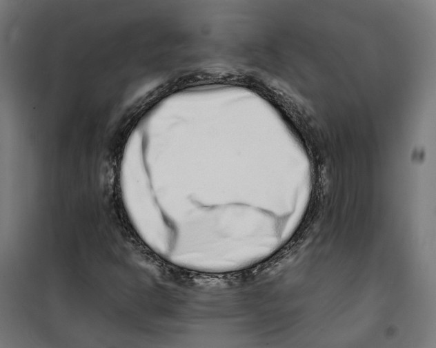 X0000100341302200807031249