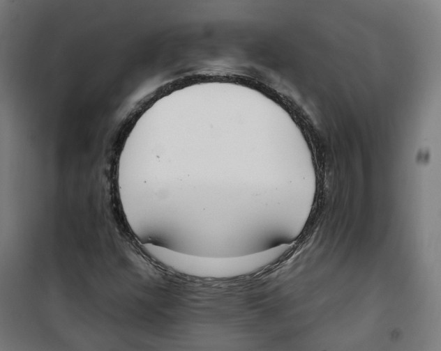 X0000100341304200807031249