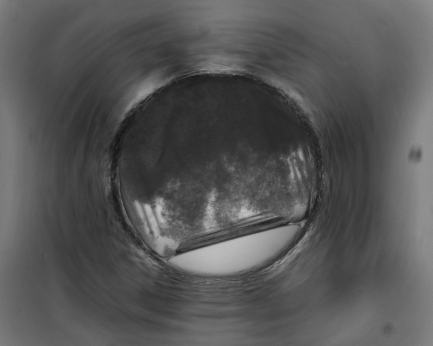 X0000100341306200807031249