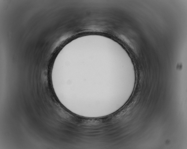 X0000100341307200807031249