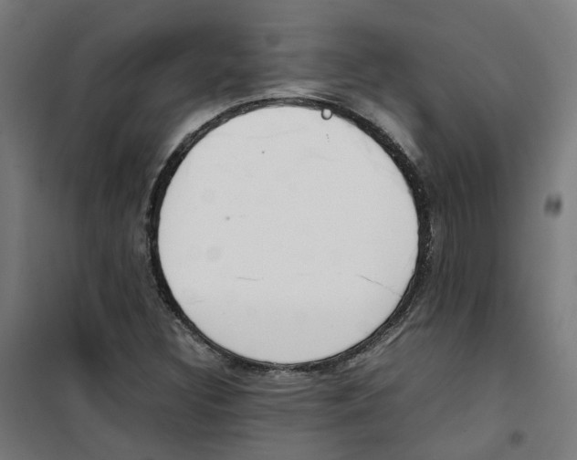 X0000100341308200807031249