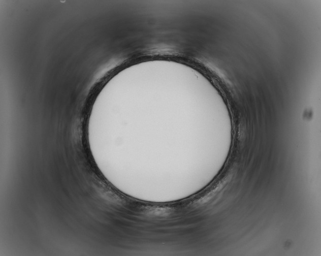 X0000100341309200807031249